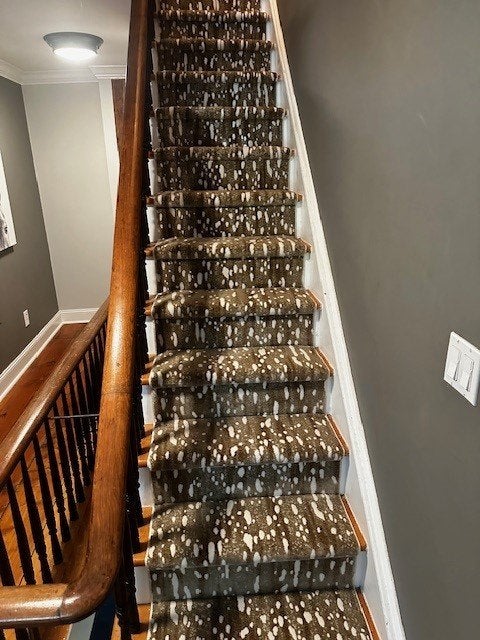 Staircase With Patterned Carpet Runner by Redi-Cut Carpets & Window Treatments